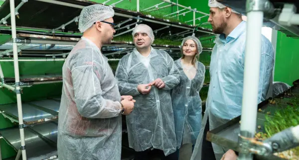 Микрозелень из Лосино-Петровского на полках Дубайских супермаркетов? Легко!