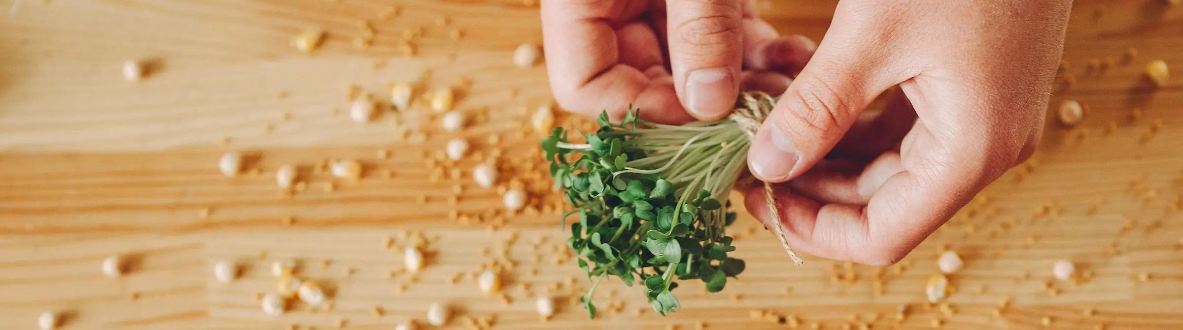 О вкусах не спорят, но какая же микрозелень самая вкусная и полезная?