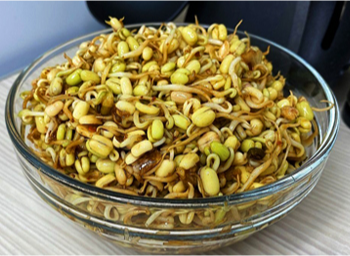 Польза и вкус проростков маша (бобов мунг)