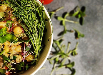 Микрозелень на праздничном столе