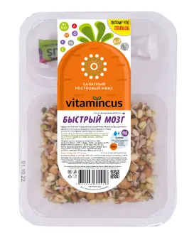 БЫСТРЫЙ МОЗГ